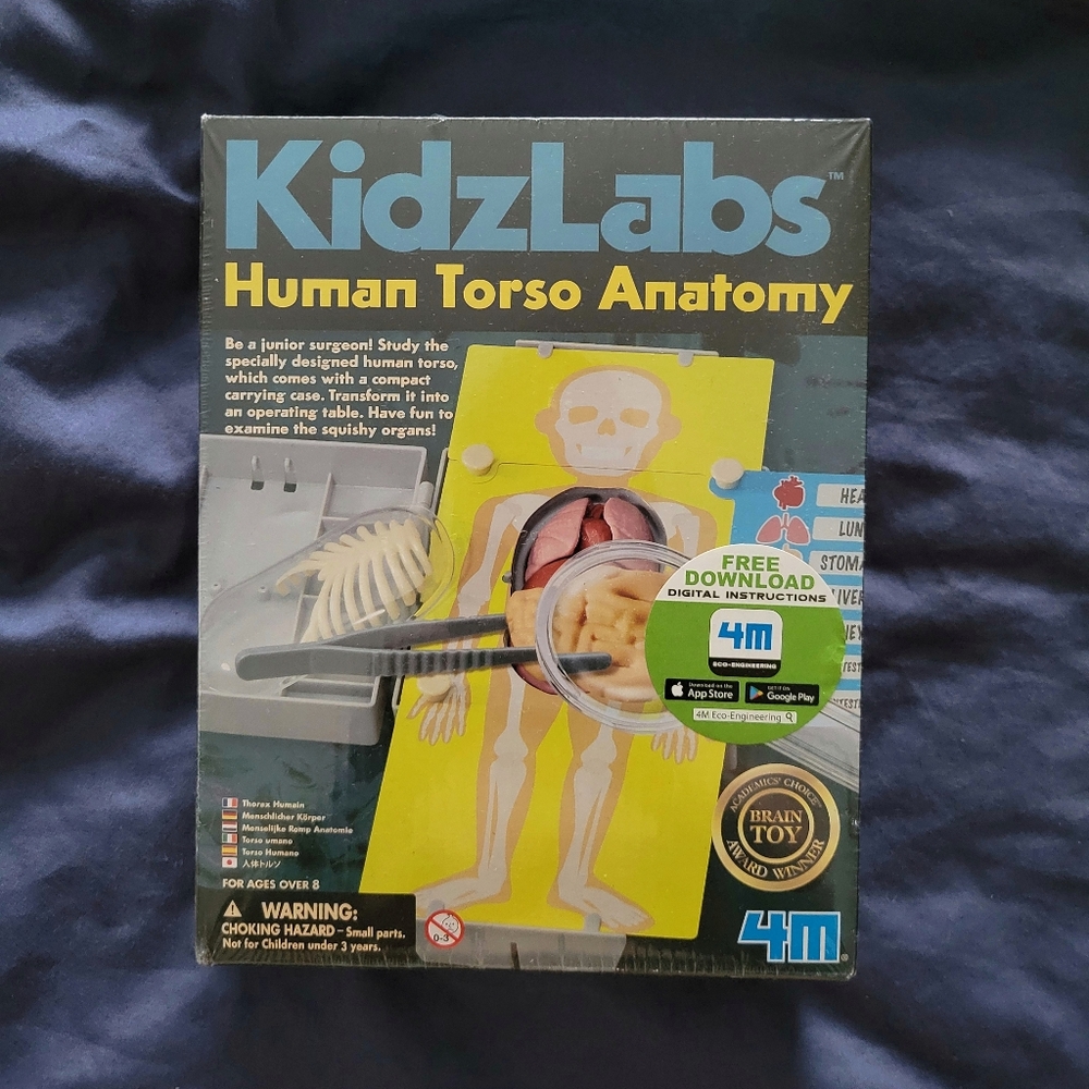 Yellow Human Torso Learning Toy Kit